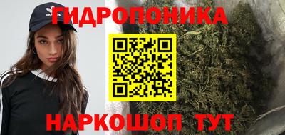 a pvp Ирбит