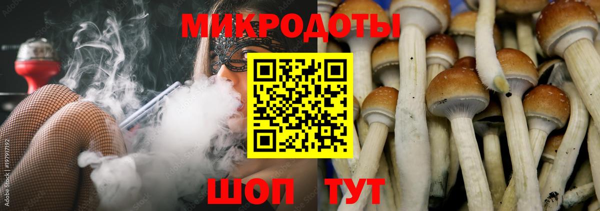 Курчатов  Псилоцибиновые грибы мухоморы  где продают   Галлюциногенные грибы Cubensis  Вход с VPN 